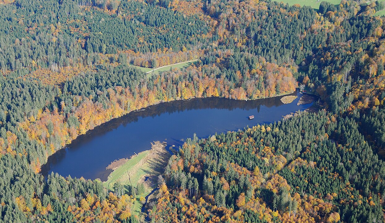 Luftbildaufnahme vom Hackensee